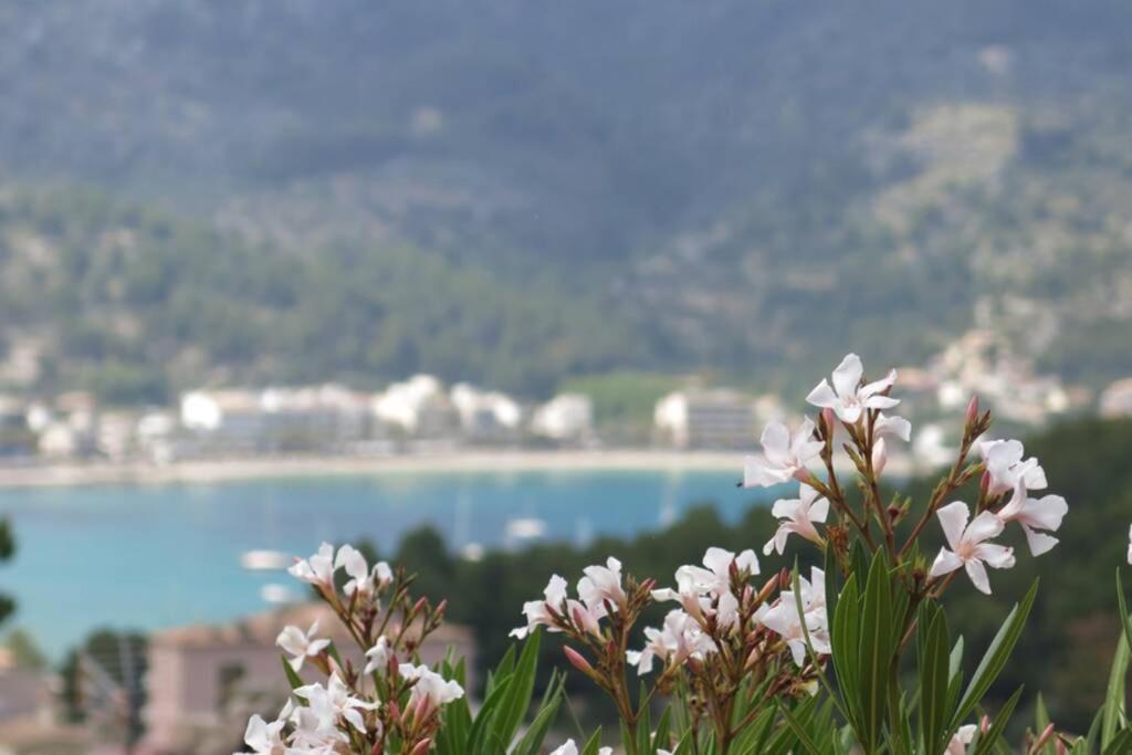 Apartamento En El Puerto De Soller Con Gran Terraza Privada Y Vistas Al Mar. Piscina Comunitaria. Localizado En Un Zona Tranquila Y Muy Soleada. Wifi Gratis Disponible. Parking. מראה חיצוני תמונה
